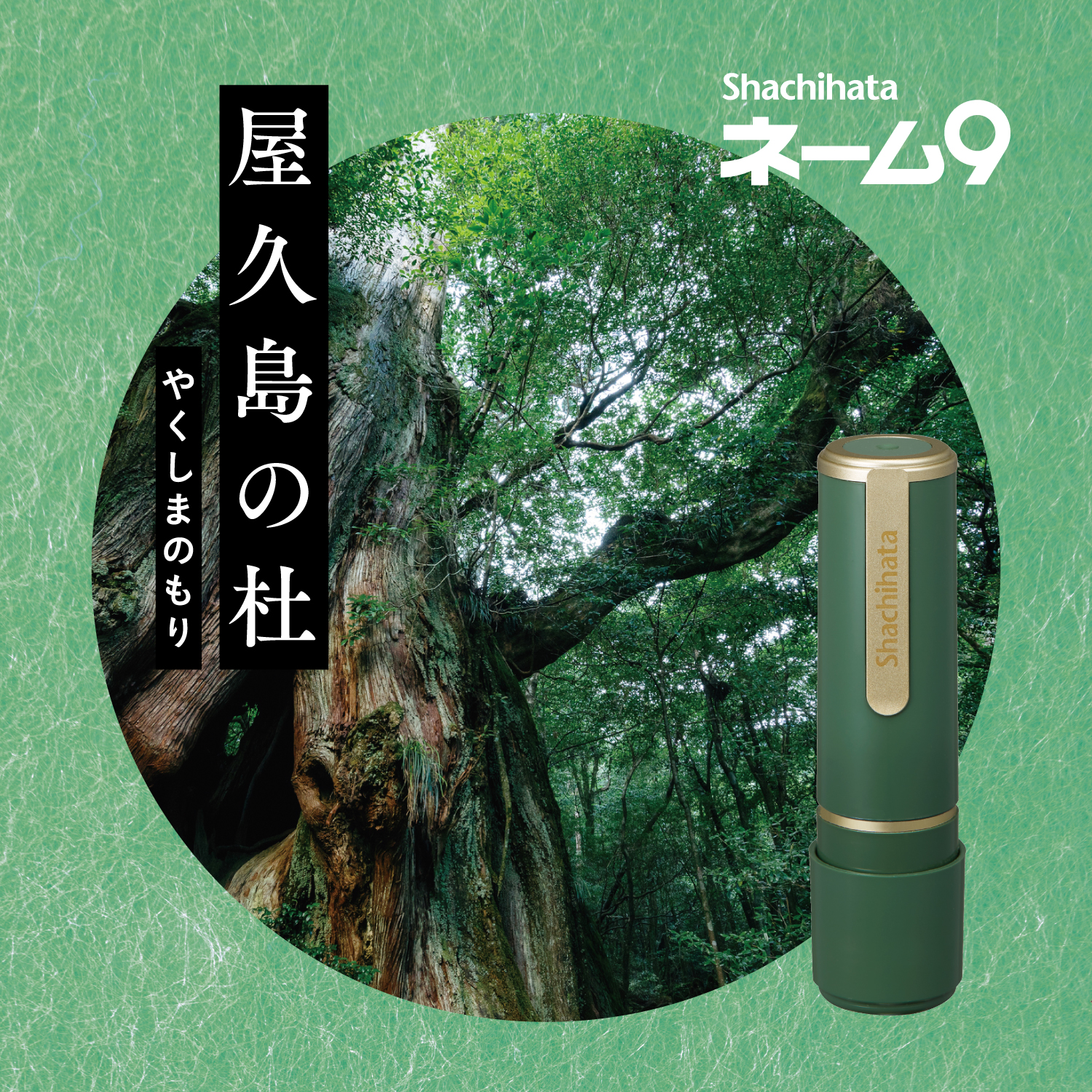 ネーム9 別製 創業100周年記念カラー 屋久島の杜(やくしまのもり)|XL-9