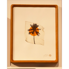 Matthew Allen(マシューアレン)通販 | GREENROOM GALLERY