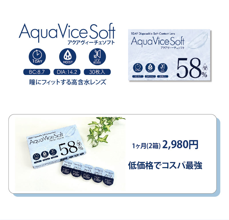 アクアヴィーチェソフト(AquaViceSoft 1Day)/クリアコンタクトレンズ