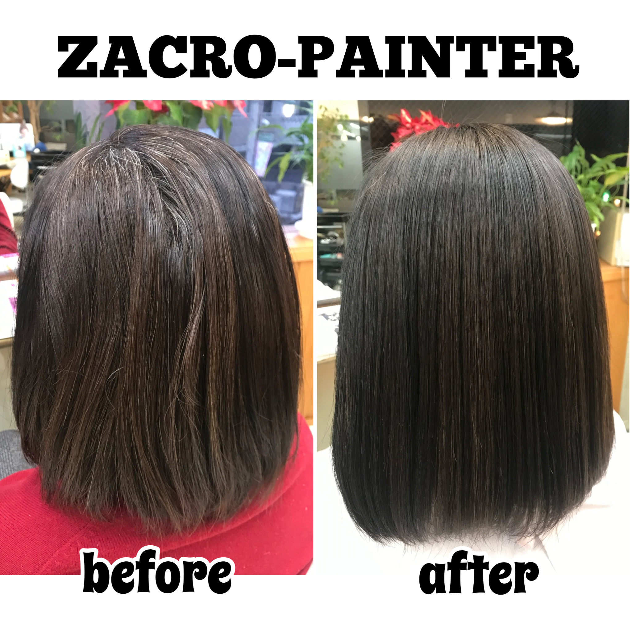 輝髪ザクロペインター】しみない・かぶれない・傷まない白髪染め | J