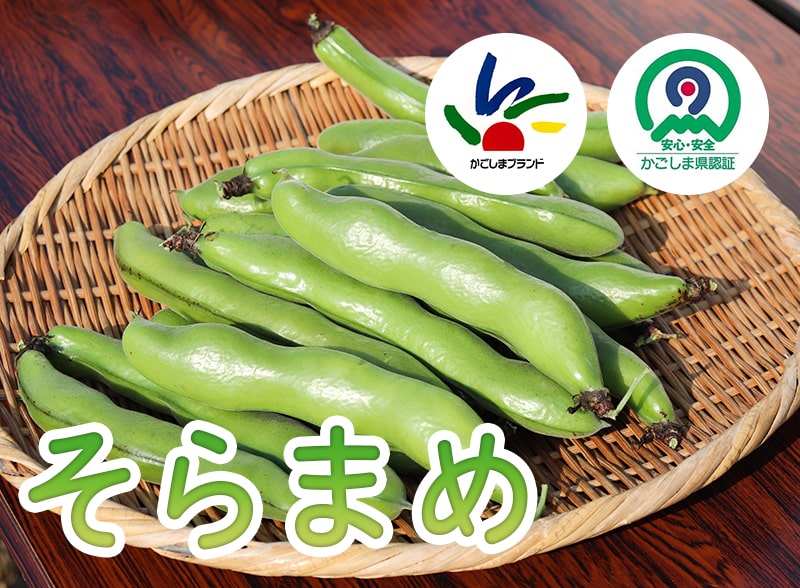 そらまめ - JA鹿児島いずみ