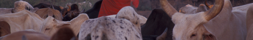 京都大学アフリカ地域研究資料センター