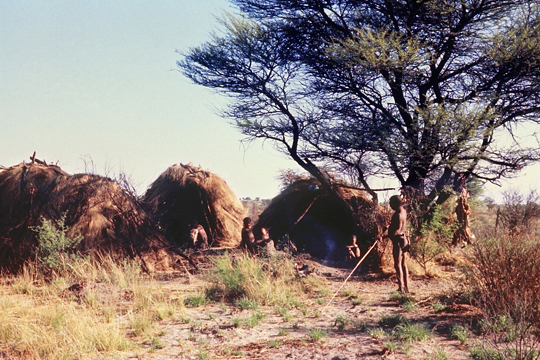 京都大学アフリカ地域研究資料センター