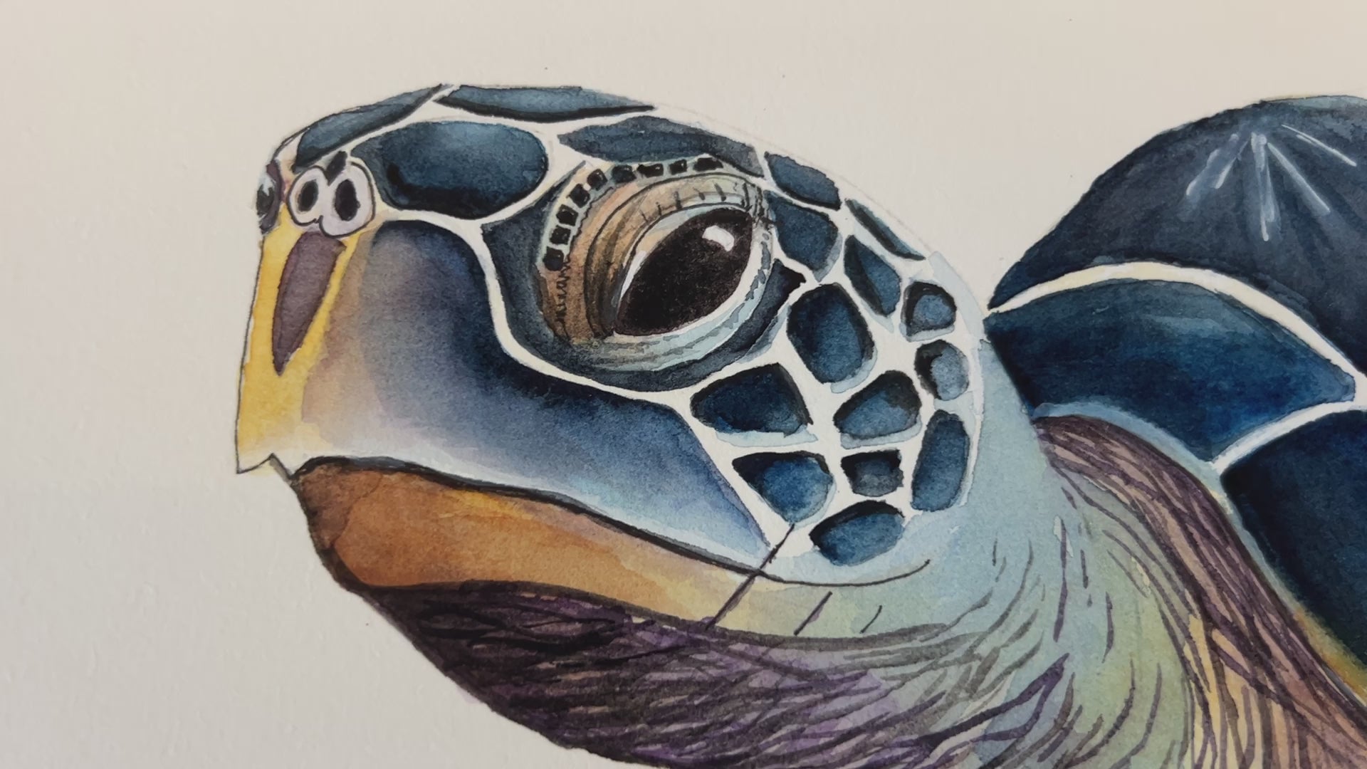 ffe9c7ec25b045809253c8f5086224