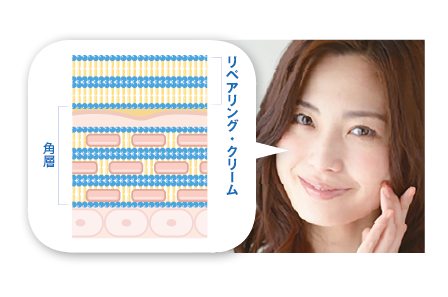 LNCリペアリングクリーム 35g | ラメラ構造 ハリ 肌荒れ 乾燥対策に