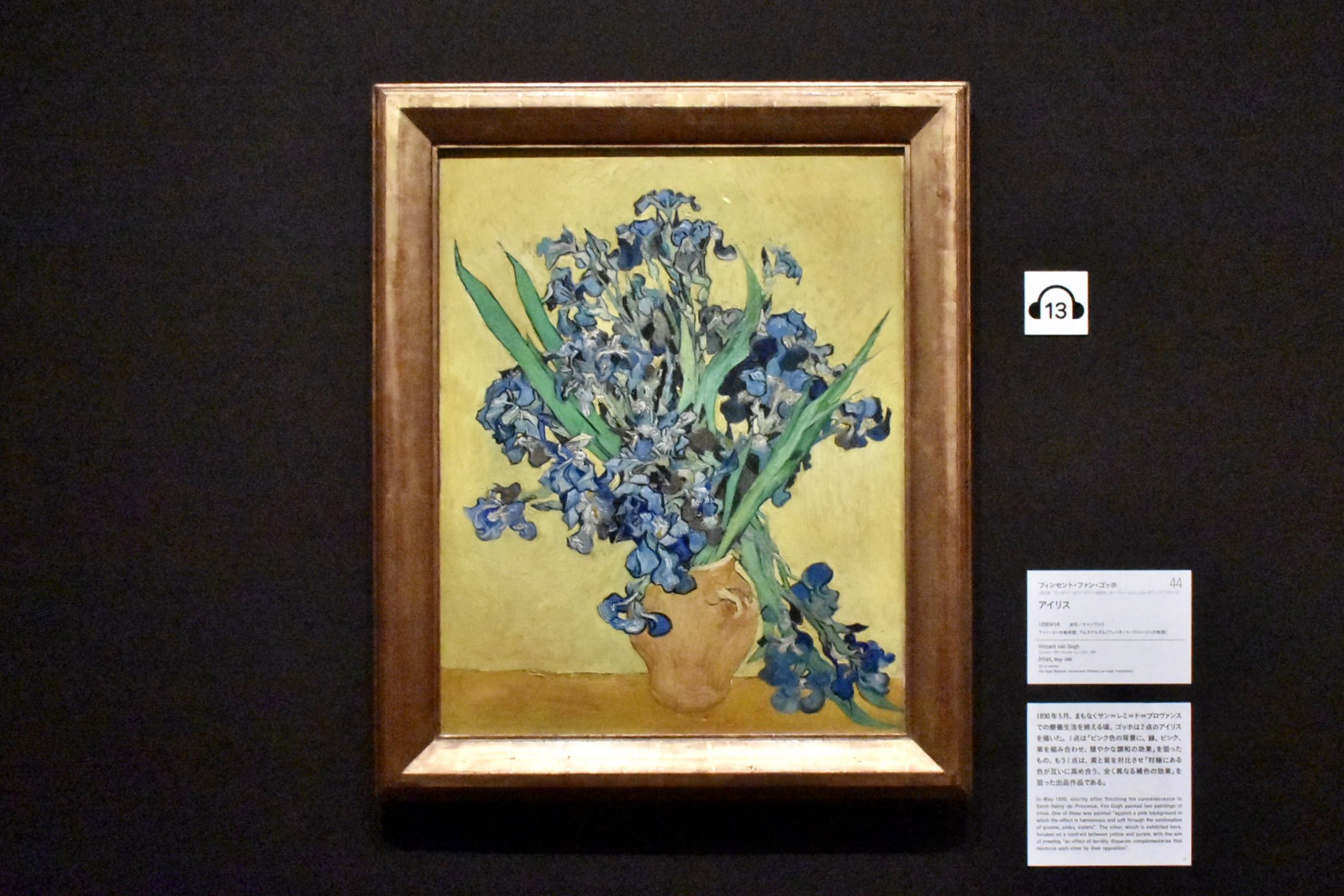 写真ギャラリー1枚め｜ゴッホの傑作《ひまわり》はどのように生まれた