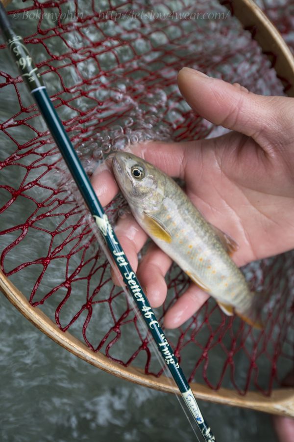 Jet Setter 46C [Twig]「冒険用品」