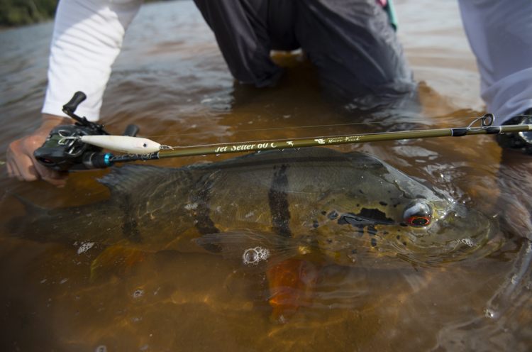 JetSlow×TULALA JetSetter 60C Micro Touch「冒険用品」