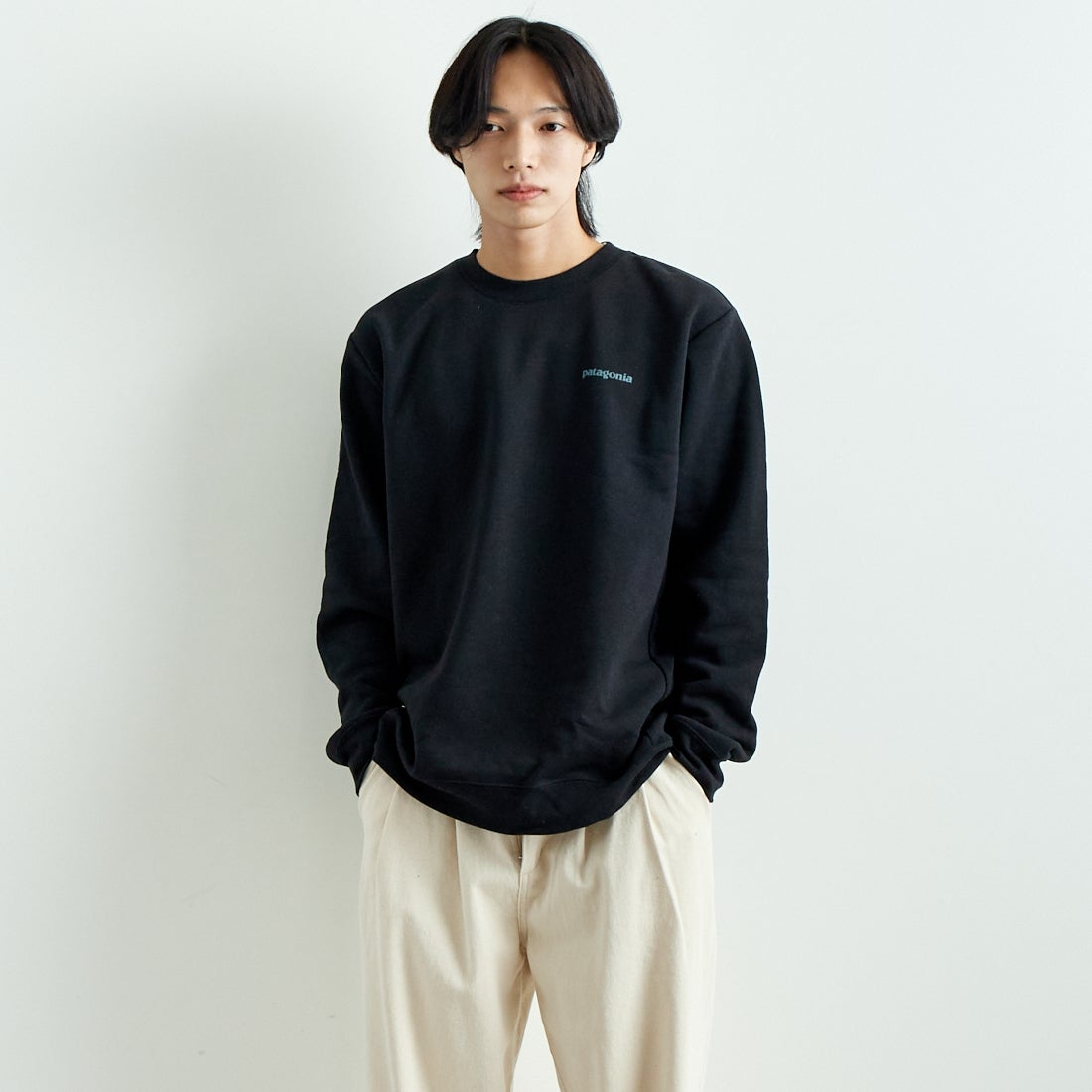 patagonia [パタゴニア] フィッツロイ アイコン アップライザル クルー