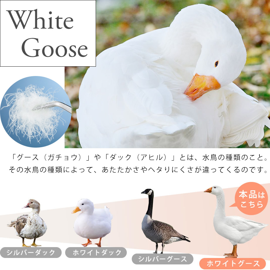 羽毛布団 シングル ホワイトグースダウン90％ | じぶんまくら公式