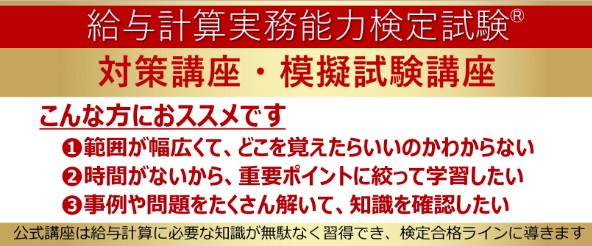 公式試験対策講座｜人事・総務・経理でつかえる資格取得｜実務能力開発