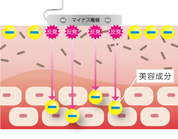 イオン導入】PRO VITALIONT | JMEC WEB SHOWROOM