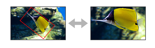 GeoBox G-105 多機能ビデオプロセッサー | ジャパンマテリアルジャパン