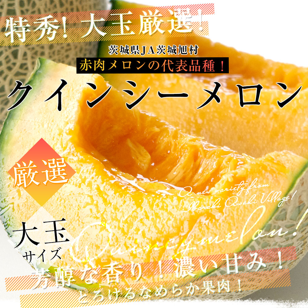 茨城県産 JA茨城旭村 クインシーメロン 特秀品 大玉3Lサイズ 2玉（合計
