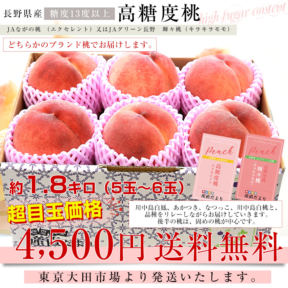 長野県産 高糖度桃 約1.8キロ（5玉から6玉）※JAながの（エクセレント