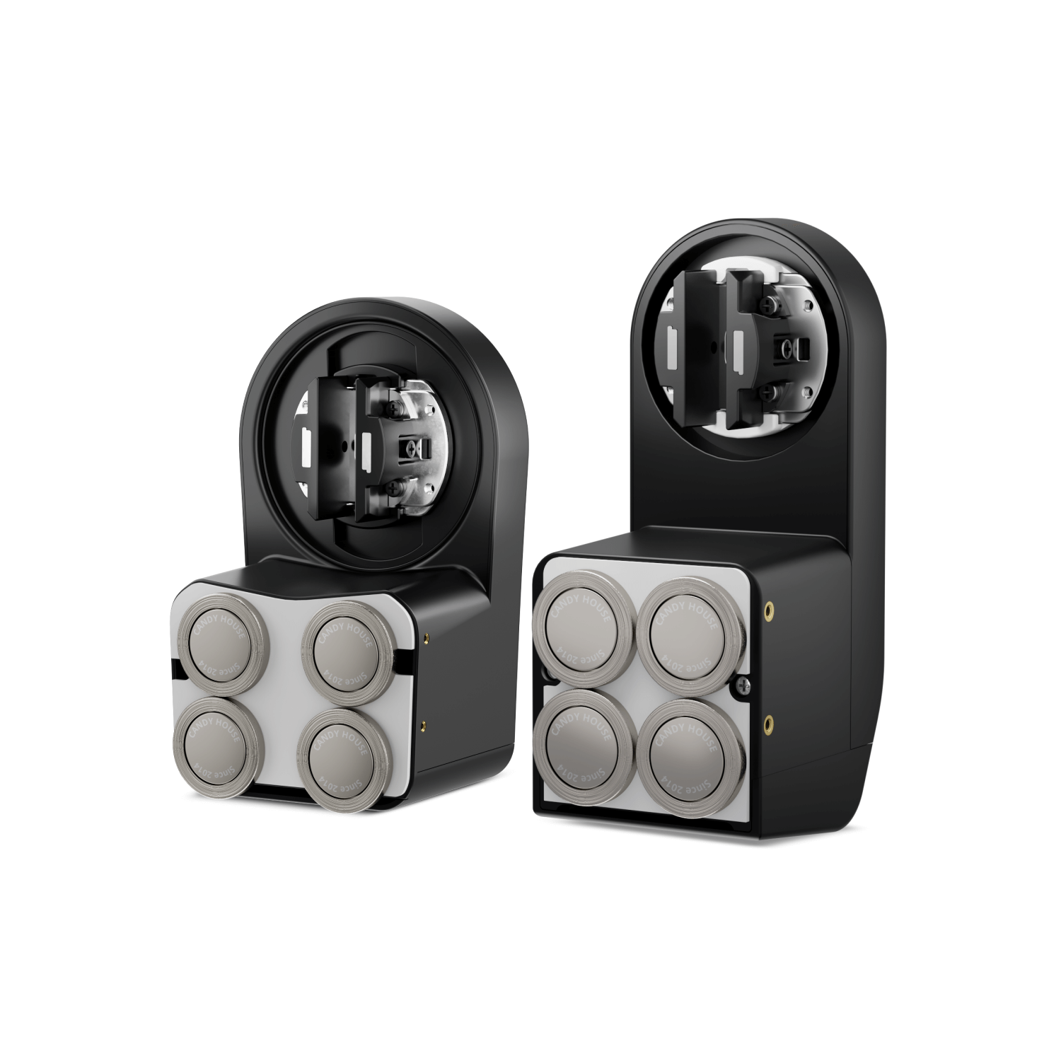 超強力マグネット(5個入)レアアースのネオジムN50仕様