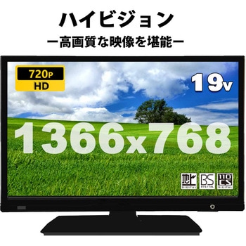 AS19BTM 19インチハイビジョン 病院向け液晶テレビ 1個 APEX 【通販