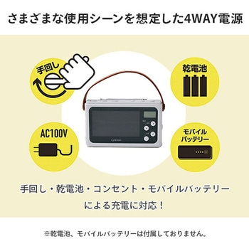 JYTM-RTV430(CG) 手回し充電ワンセグテレビ 1個 YAMAZEN(山善) 【通販