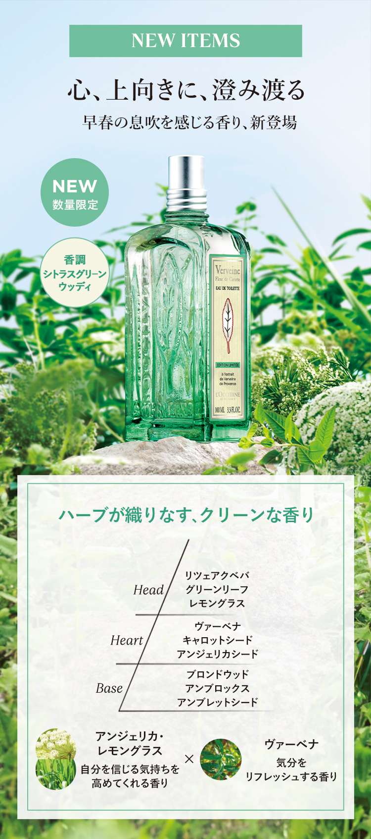 数量限定】クリーンヴァーベナ｜ロクシタン公式通販