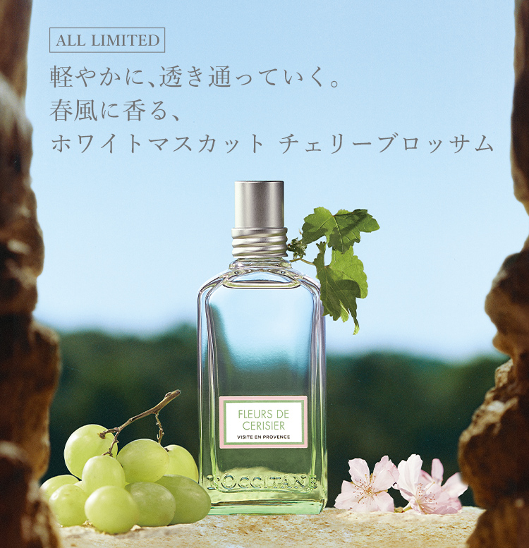 数量限定】ホワイトマスカット チェリーブロッサム｜ロクシタン公式通販