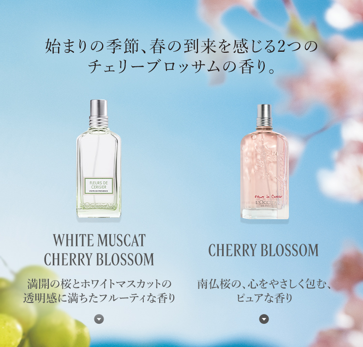 数量限定】ホワイトマスカット チェリーブロッサム｜ロクシタン公式通販