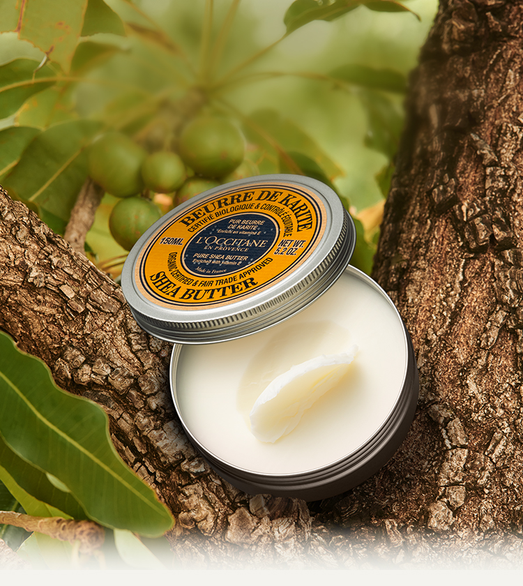 からだまるごと。家族まるごと。赤ちゃんから使えるシアバター