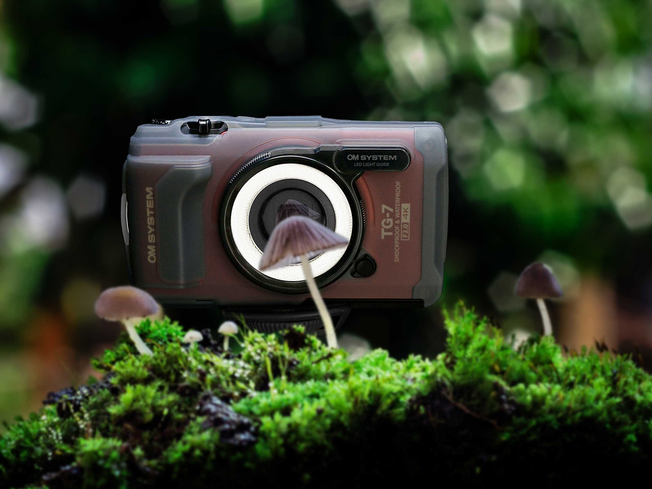 基本情報｜LEDライトガイド LG-1｜コンパクトデジタルカメラ用