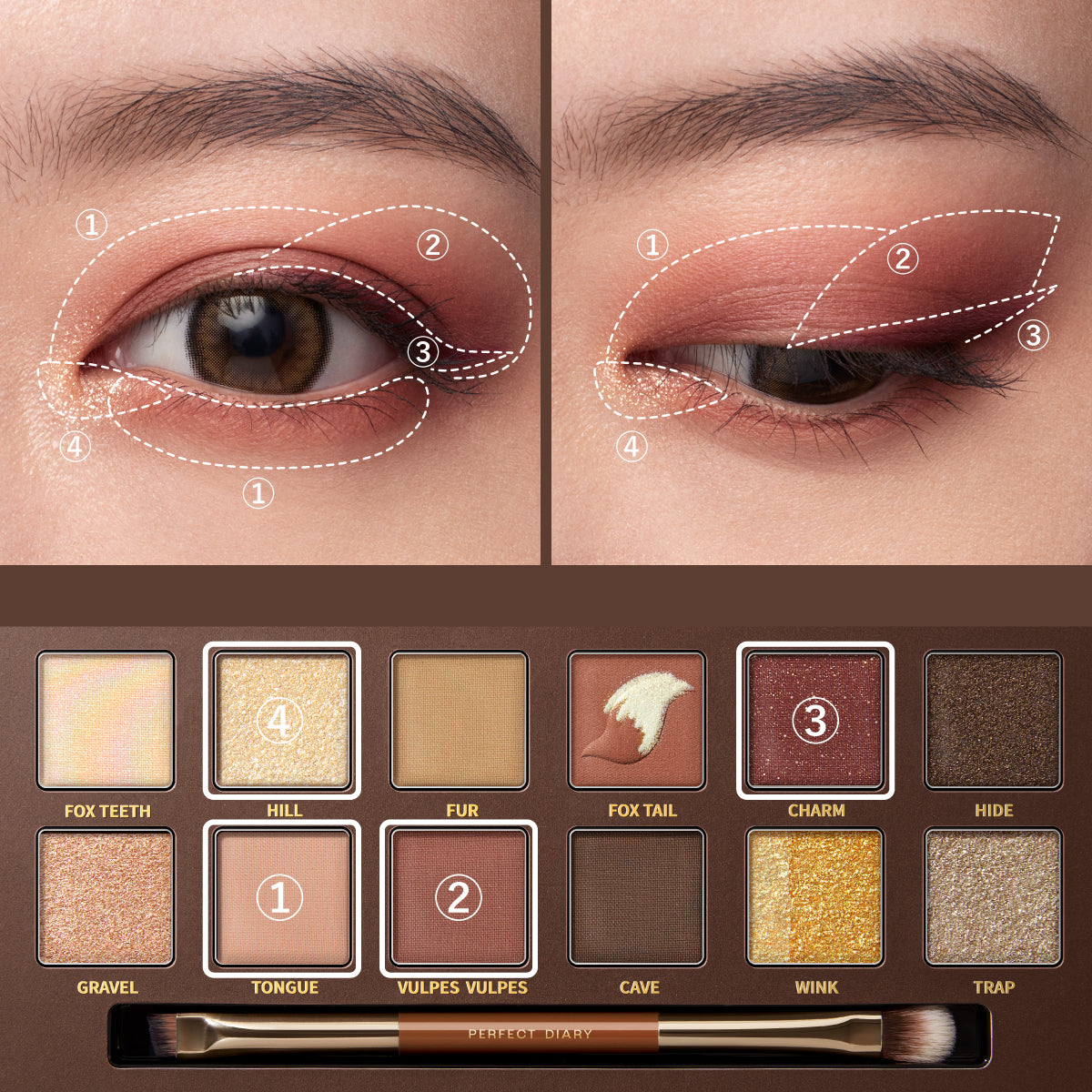 PERFECT DIARY (パーフェクトダイアリー)エクスプローラ 12色動物アイ