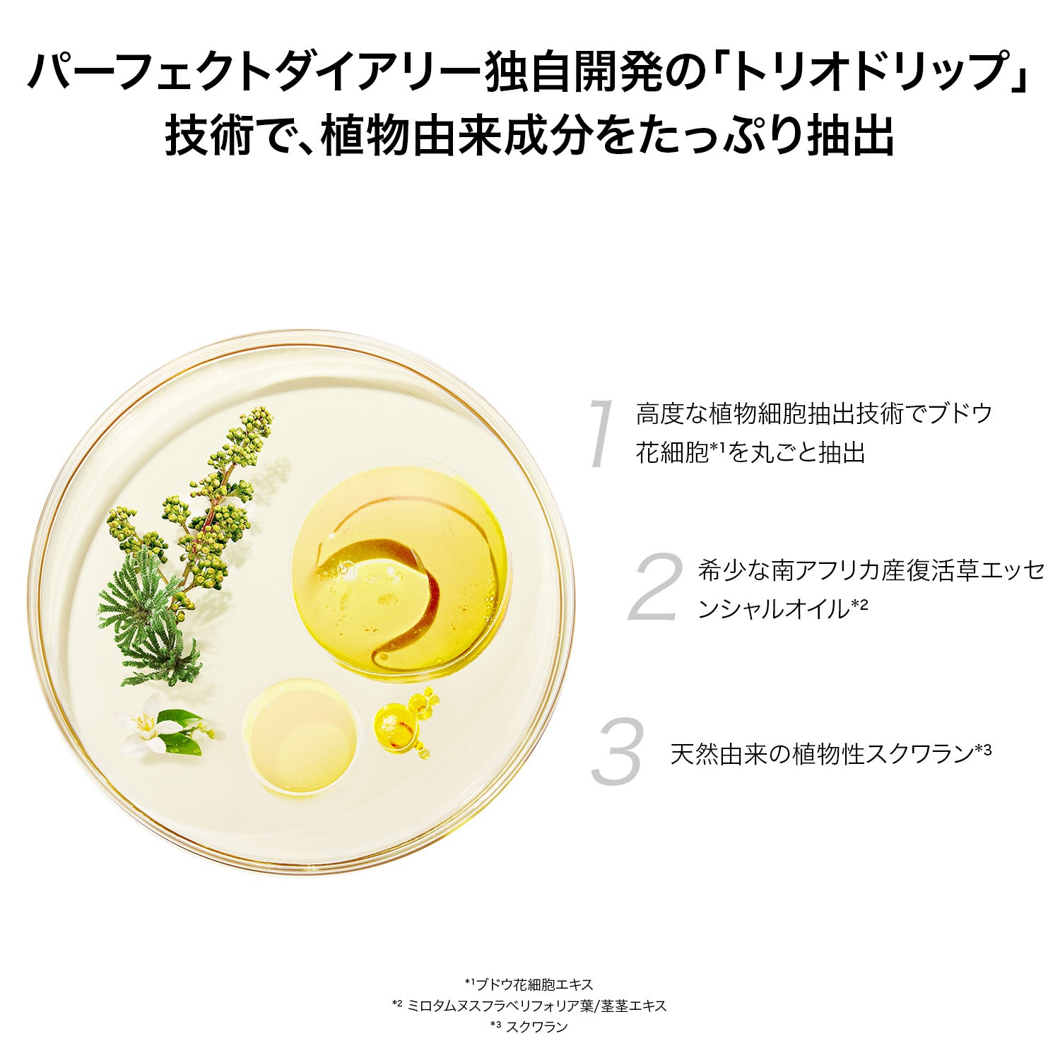 PERFECT DIARY (パーフェクトダイアリー)ソフトモイスチャー