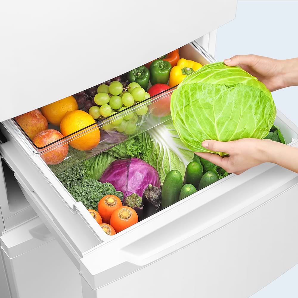 SJ-PT32P | 冷蔵庫：シャープ