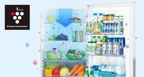 SJ-PD31J | 冷蔵庫：シャープ