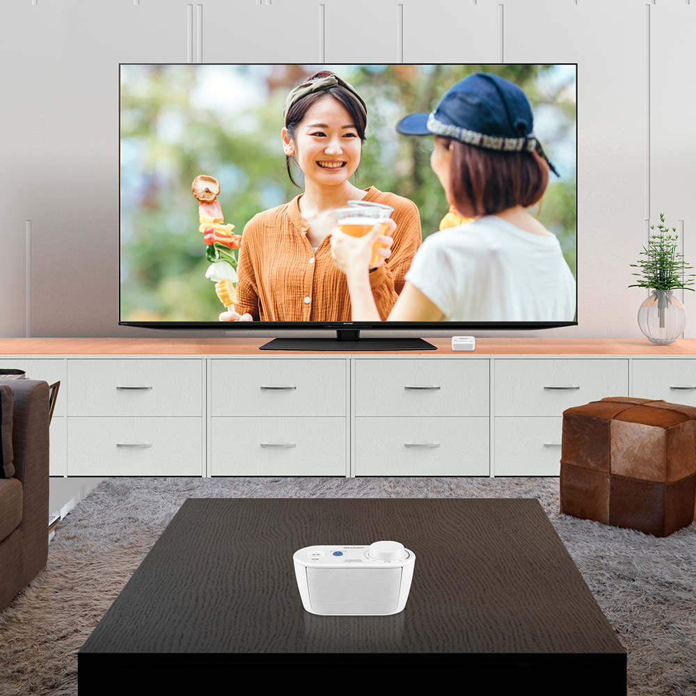 AN-WSP1 | ワイヤレススピーカーシステム サウンドパートナー：シャープ