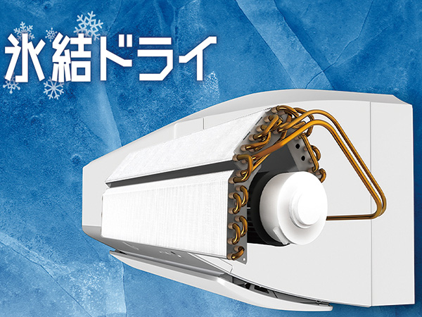 シャープ AY22SVE4S 6畳向け 自動お掃除付き 冷暖房エアコン e angle