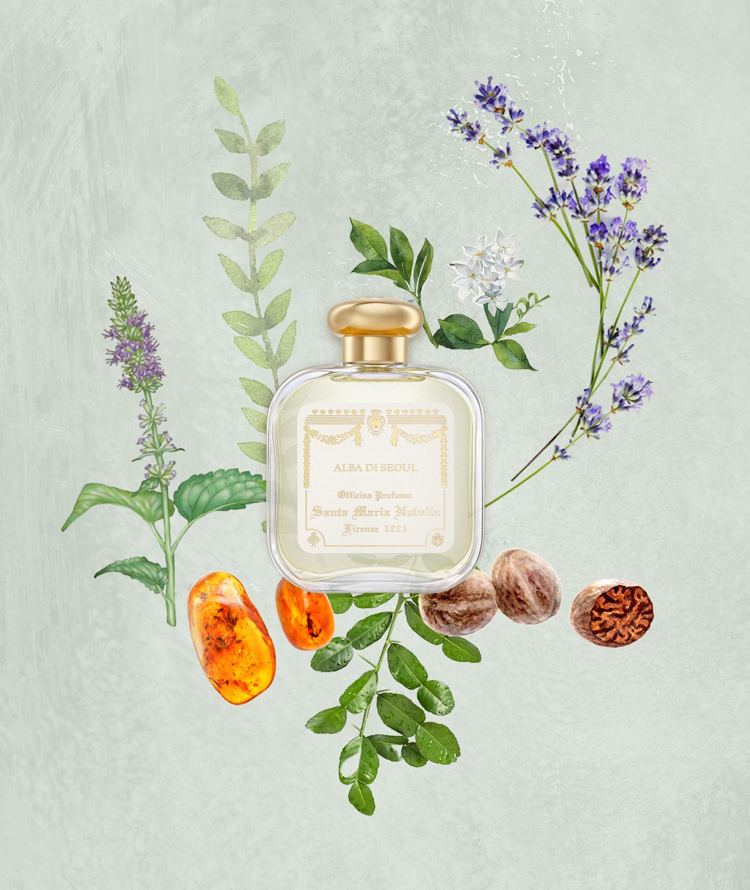 アルバ ディ ソウル オードパルファム｜サンタ・マリア・ノヴェッラ