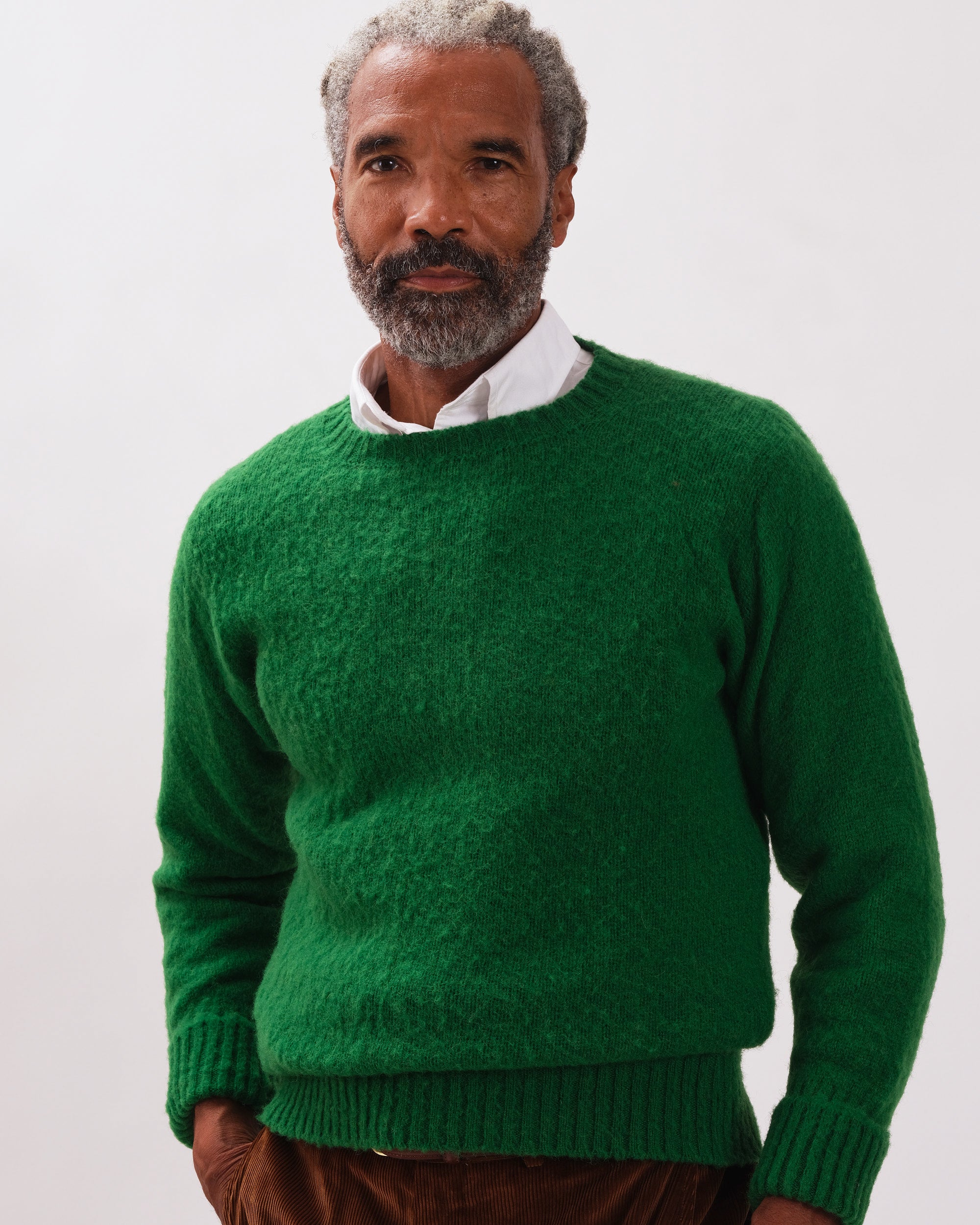Shaggy Dog Sweater Kelly Green - Classic Fit | Men's Sweaters - J