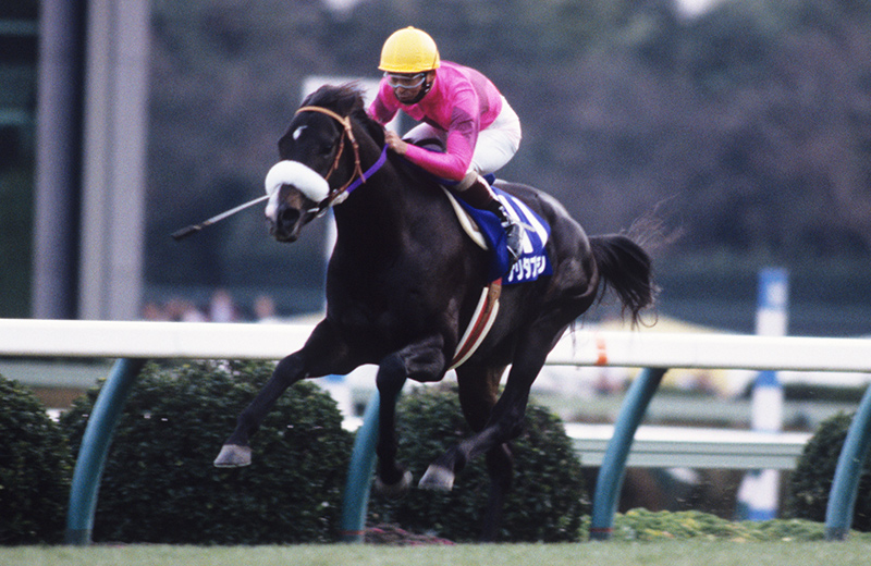 ナリタブライアン｜名馬メモリアル｜競馬情報ならJRA-VAN