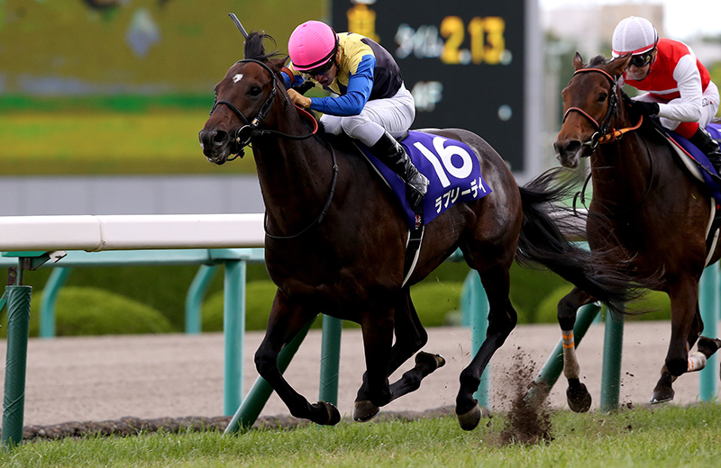 ラブリーデイ｜名馬メモリアル｜競馬情報ならJRA-VAN