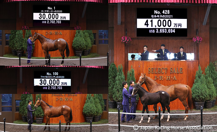 セレクトセール2021特集｜競馬情報ならJRA-VAN