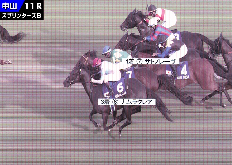 2025年 スプリンターズステークス JRA