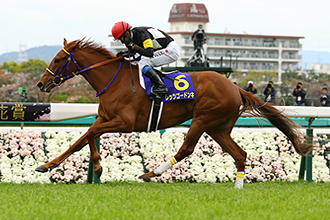 JRAホームページ｜データファイル｜競走成績データ