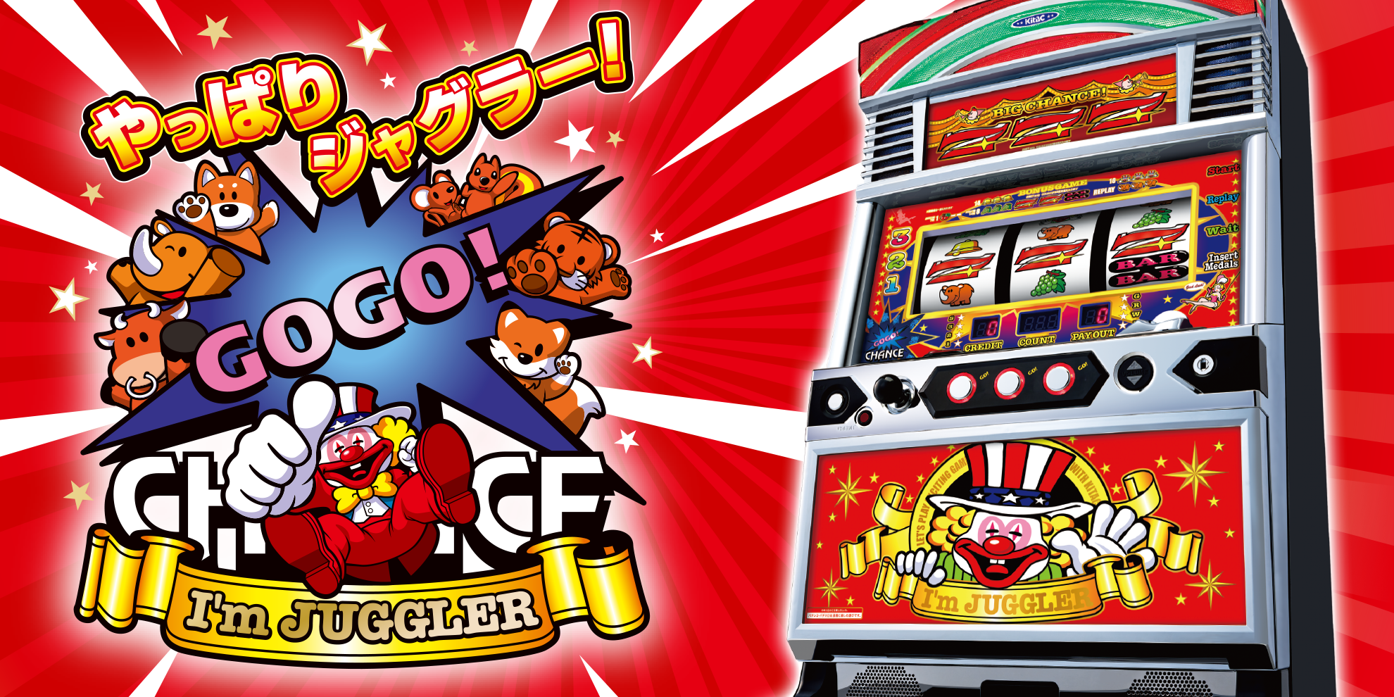 0db554f5cc1a0687624e5125c16505