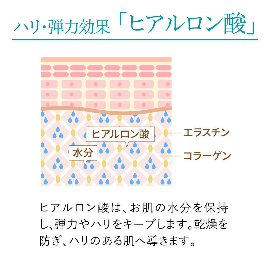 ドクターズコスメ高須英津子開発Jullants【ジュランツ】 / リファイン