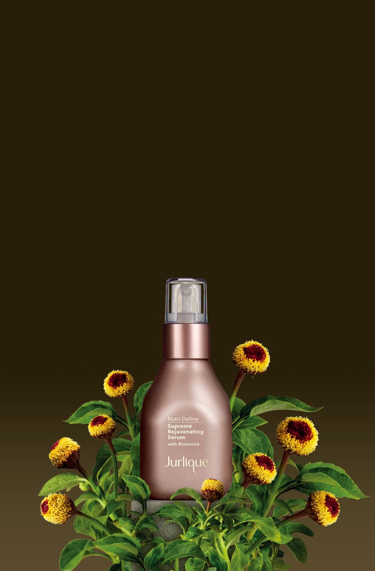 ニュートリディファイン セラムN 50mL/美容液/限定サイズ ジュリーク