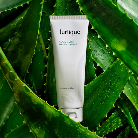 99% natural origin ingredients* | Aloe Vera Hand Cream – Jurlique US