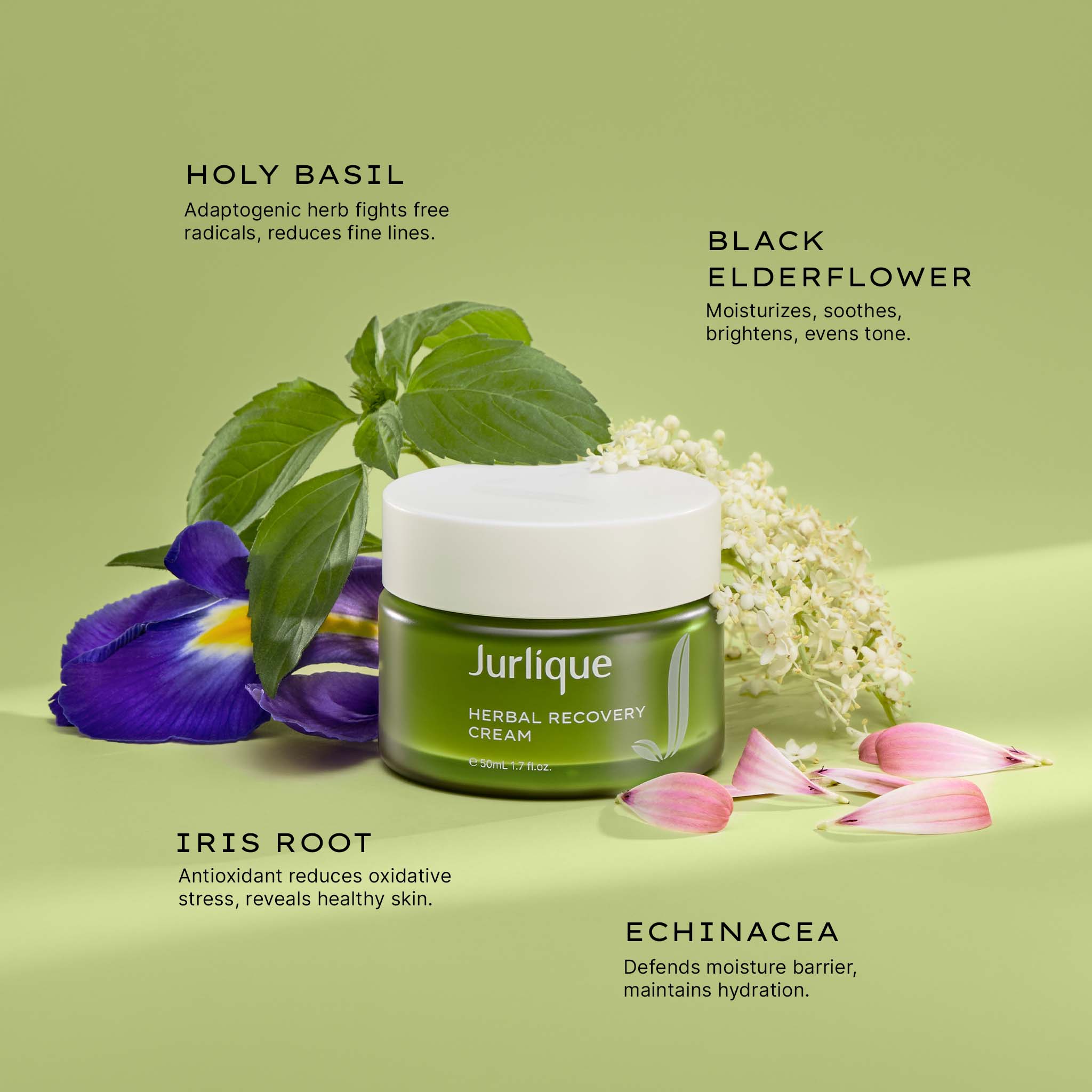 Herbal Recovery Face Cream | Jurlique Natural Skin Care – Jurlique US