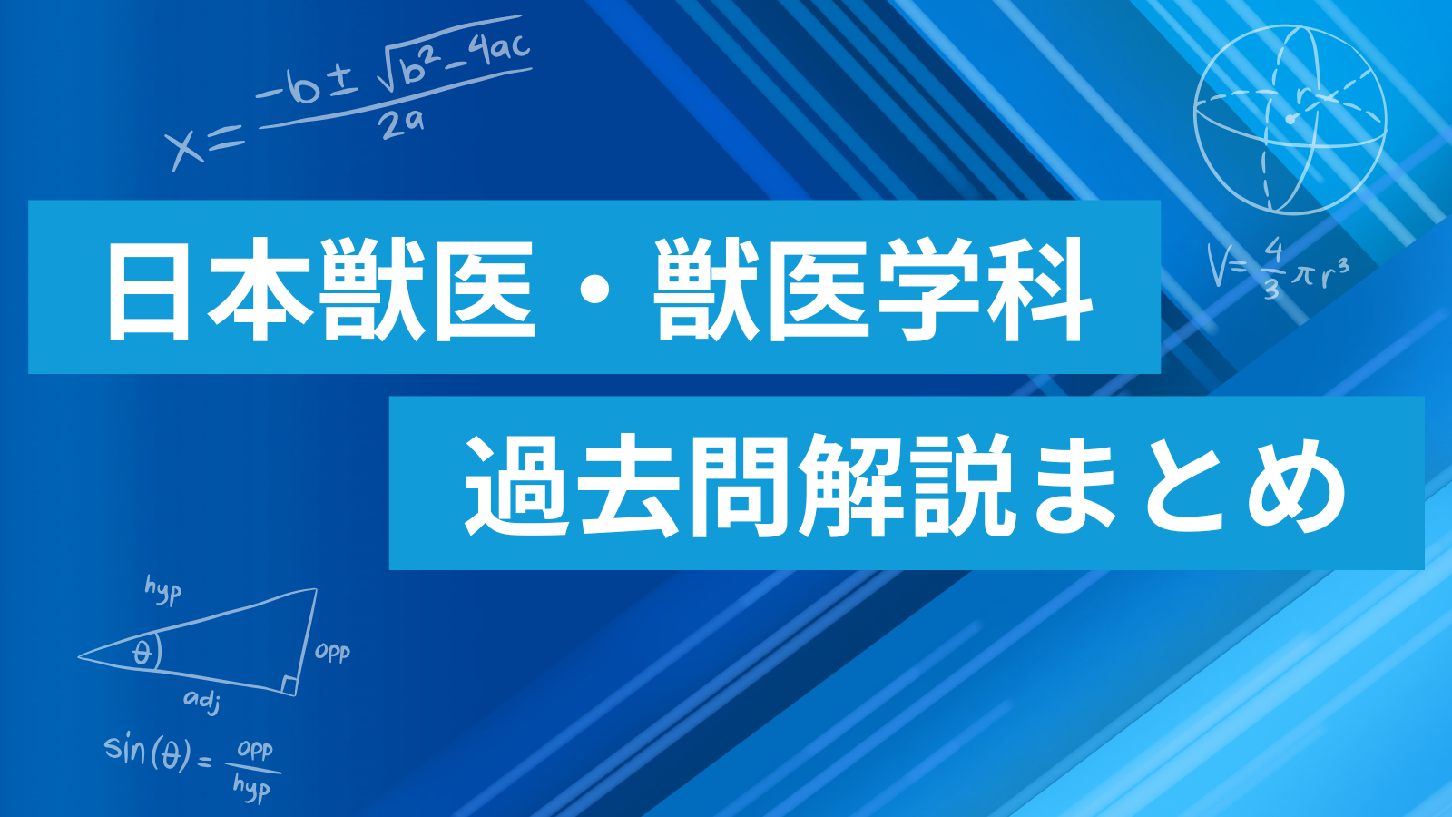 家畜内科学 第3版 中村良一著 家畜内科学 第3版 中村良一著 麻布大学