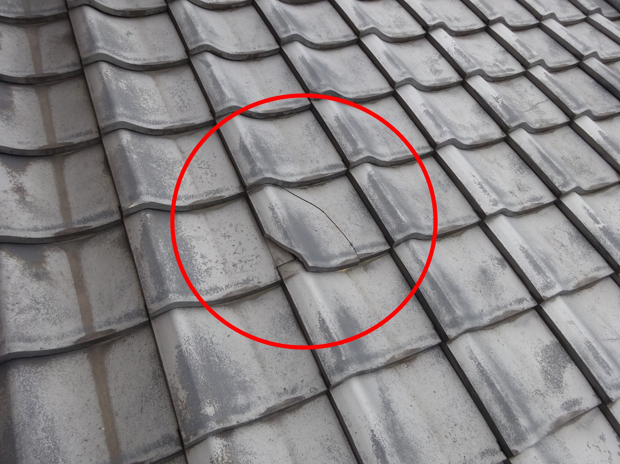 もしかすると貴重な、古い瓦の破片 もしかすると貴重な、古い瓦の破片