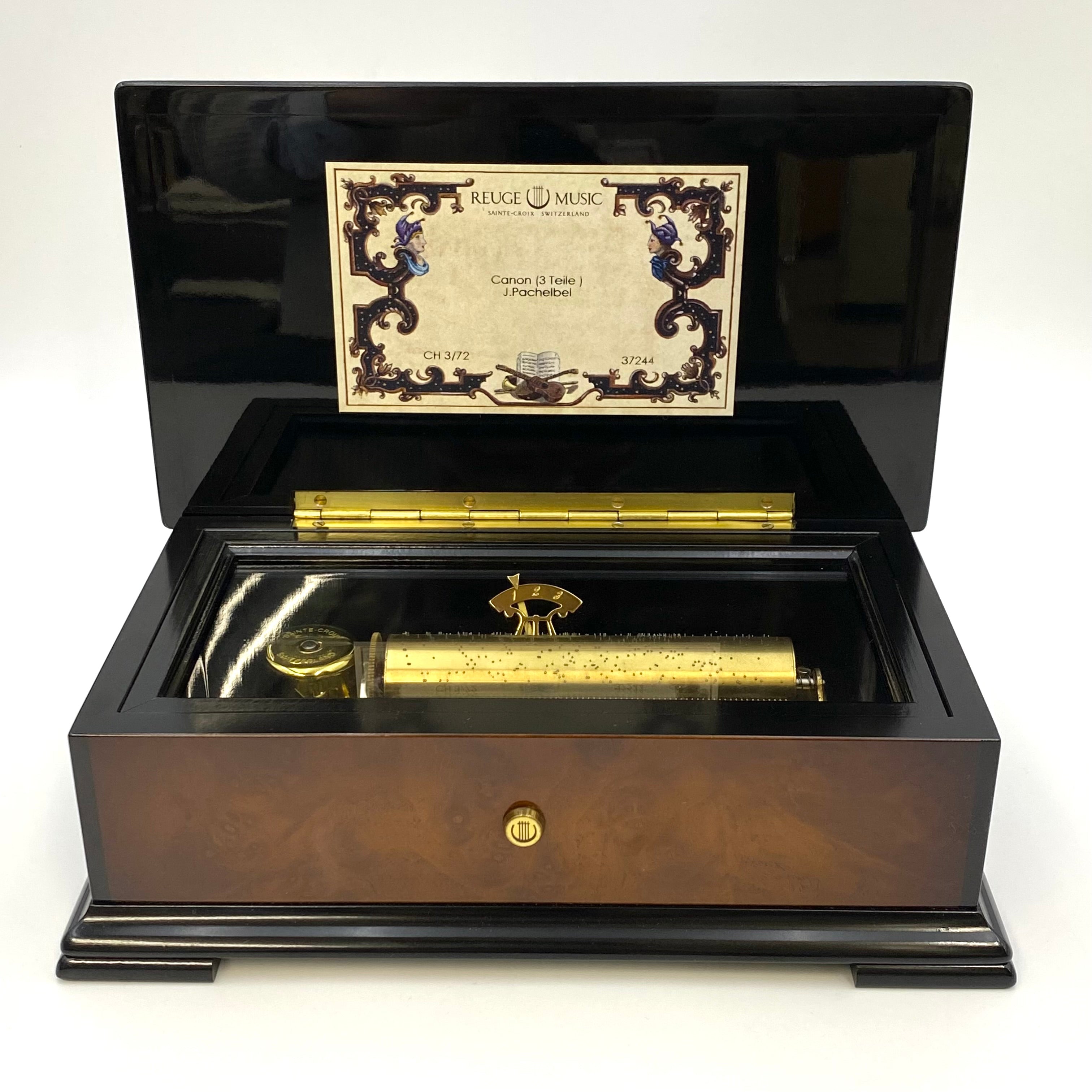 IMG_8956.jpg?crop=center&