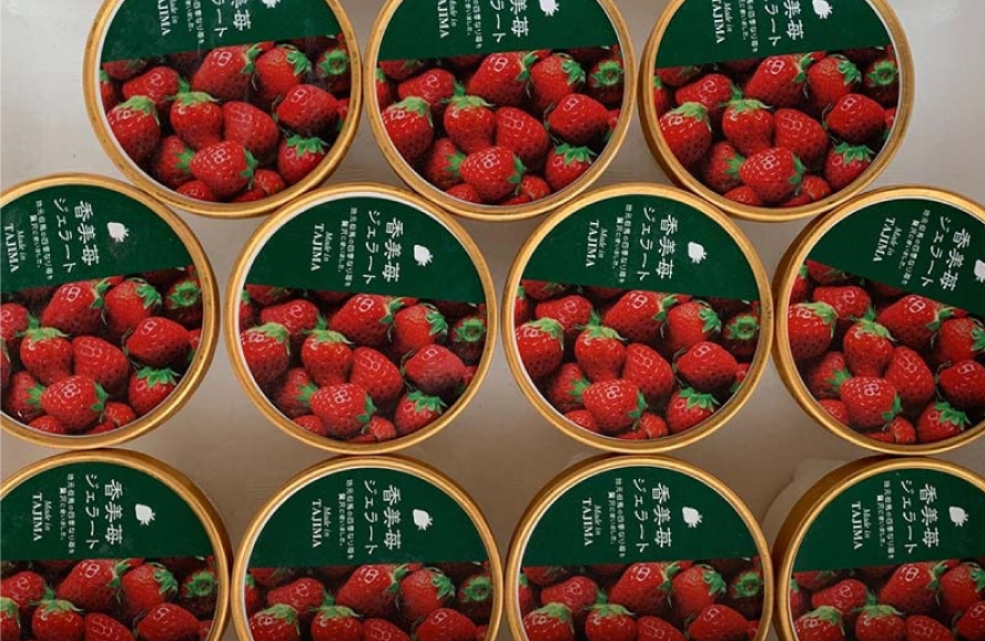 香美苺ジェラート（11個セット） - KAN-ICHI