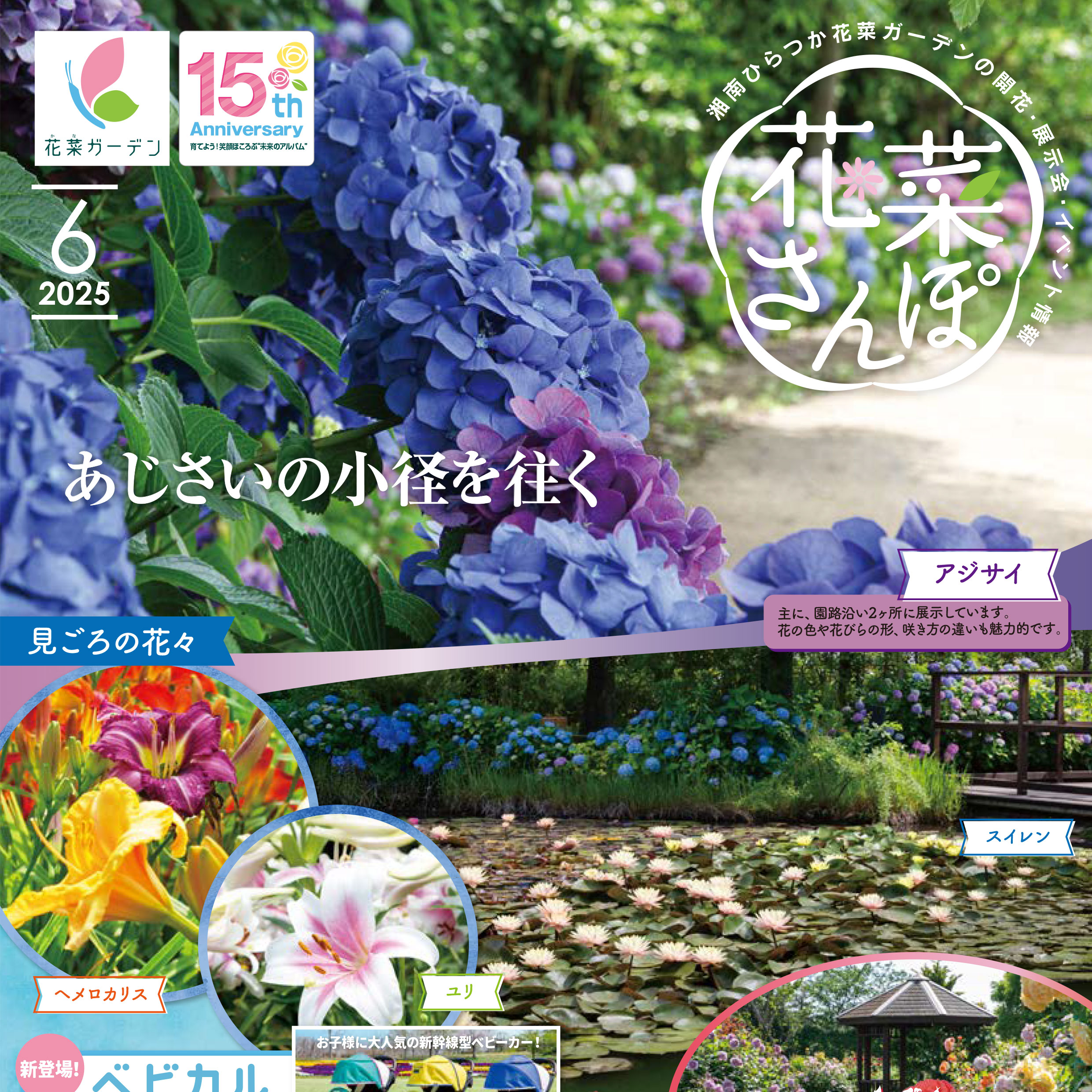 チラシ「花菜さんぽ」6月号ができあがりました。 - 神奈川県立花と緑の